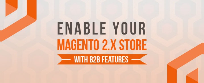Magento-store-with-B2B-features