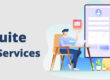 NetSuite Support Services
