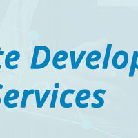 NetSuite Development Services NetSuite Development Services
