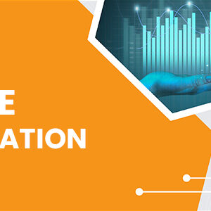ERP Implementation ERP Implementation