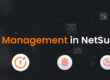 Privilege Access Management in NetSuite