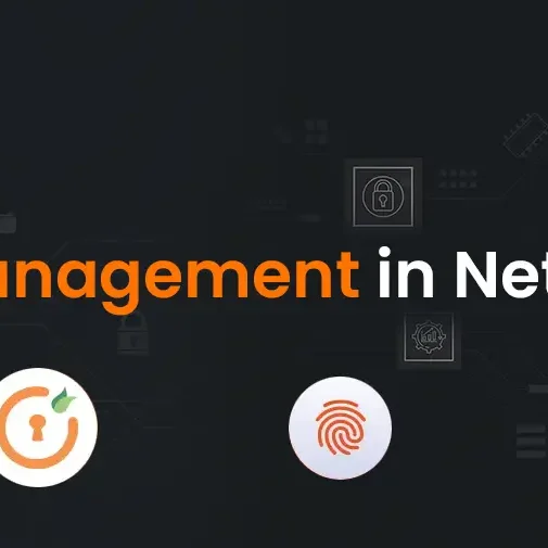 Privilege Access Management in NetSuite for SMBs in USA Privilege Access Management in NetSuite for SMBs in USA