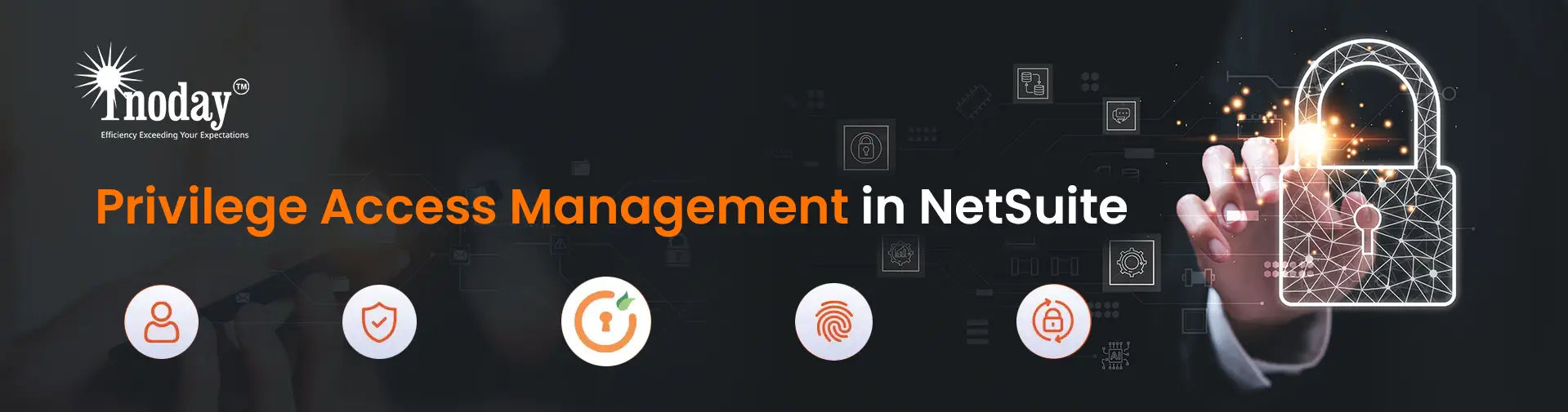 Privilege Access Management in NetSuite for SMBs in USA Privilege Access Management in NetSuite for SMBs in USA