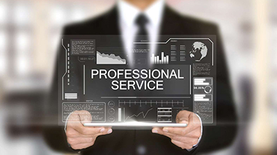 Professional Services