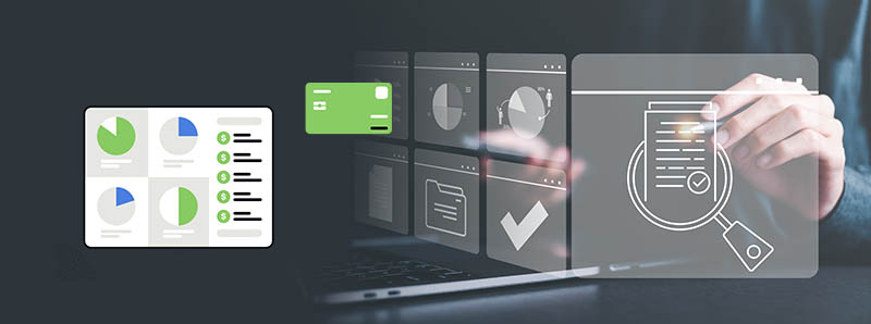 Customer Data View Customer Data View