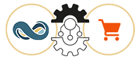 NetSuite Ecommerce Integration