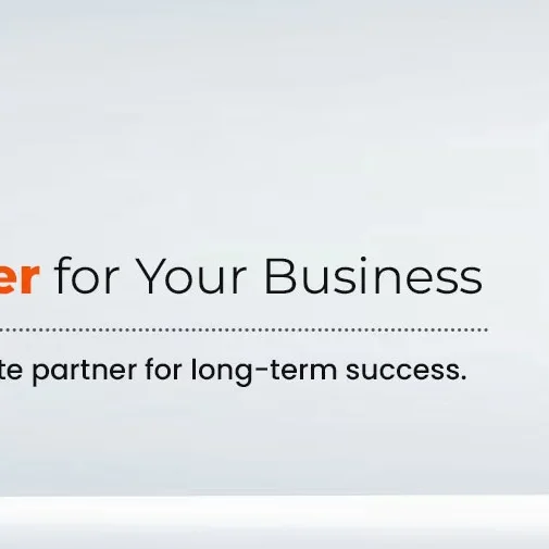 Netsuite Solution Partner