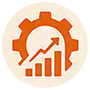NetSuite Optimization