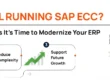SAP ECC