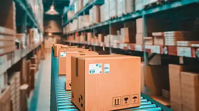 Wholesale-inoday